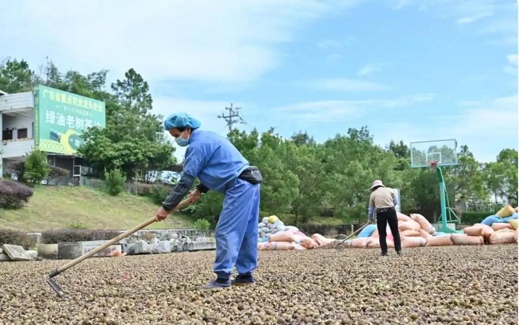 �������ֲ�����12��1��-3����÷������������ľٰ�