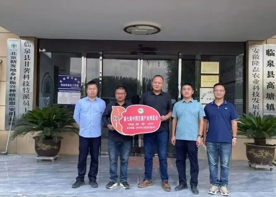 2026��ڶ�ʮ���챱�����ʺ決չ����