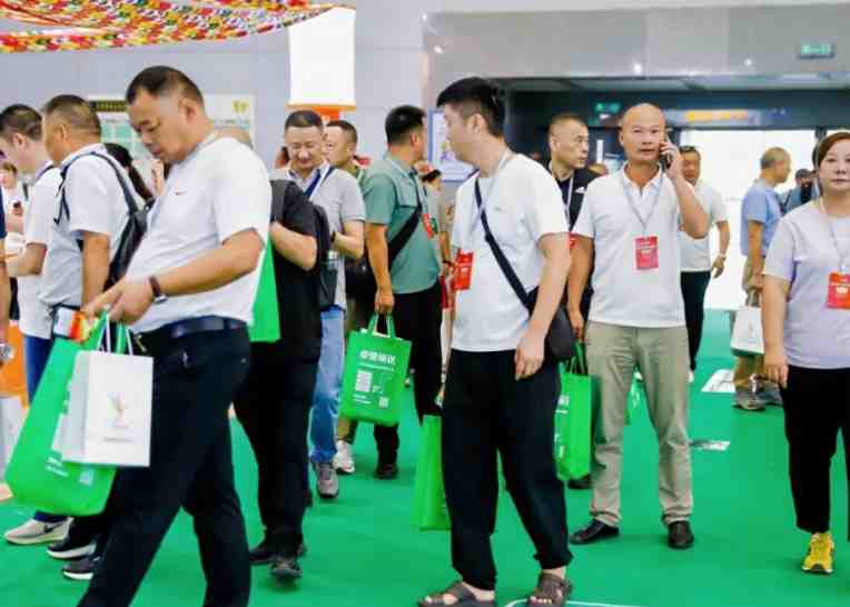 2026����ʮ�Ľ��й��������г�չ����