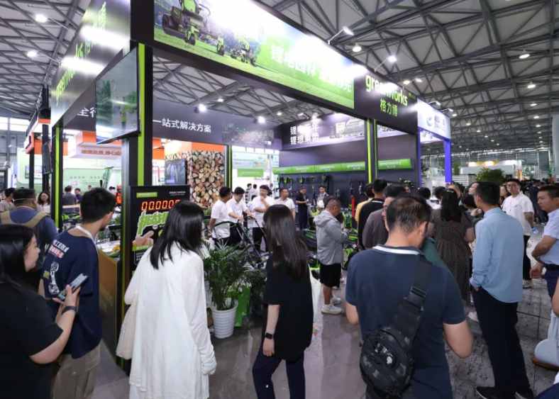 2025�й�������ֽ��װ����������ȫ��ֽ�Ŷ������׻�