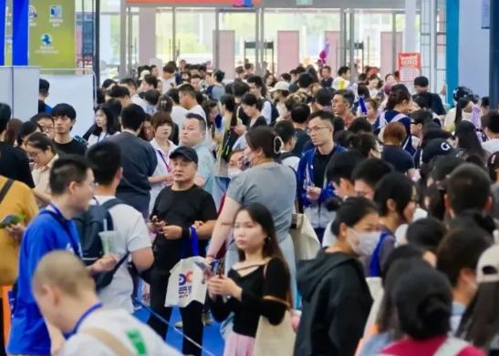 2025����ʮ���й�����Ϳ��չ�����洦��չ