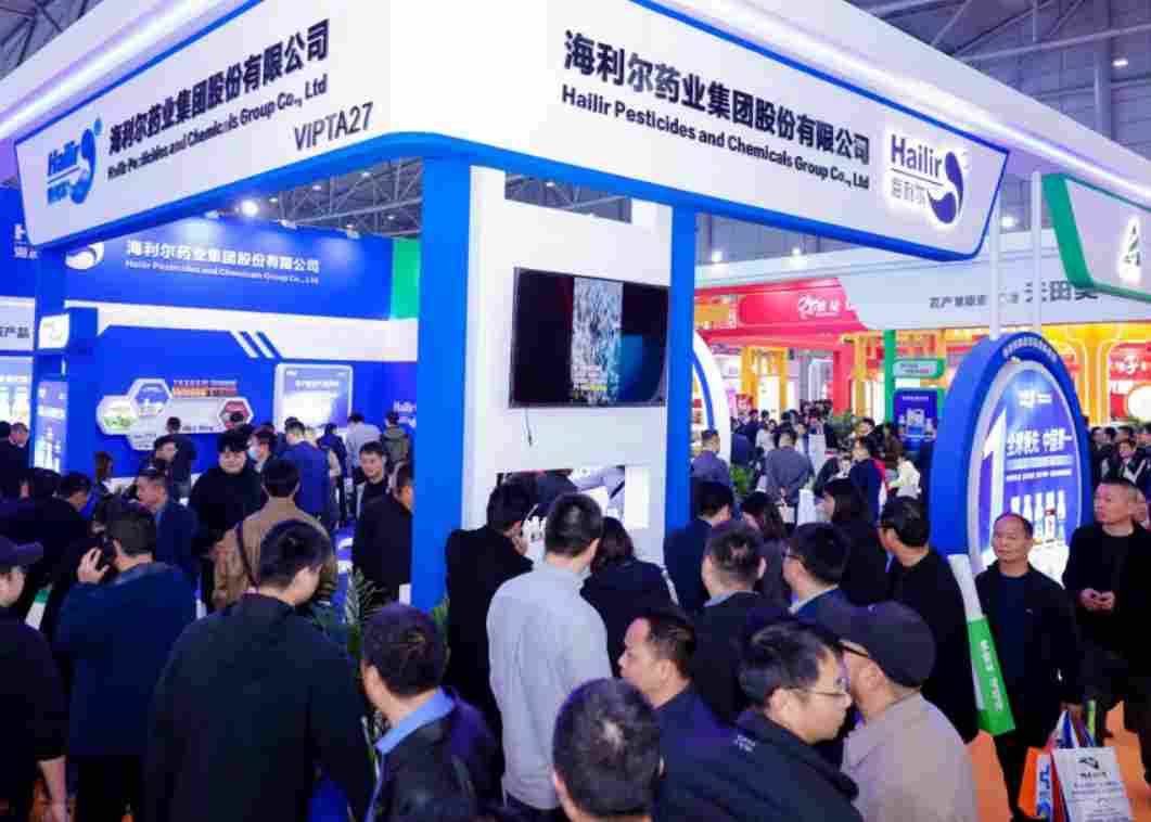 2025�������װ���磨�Ϻ���������