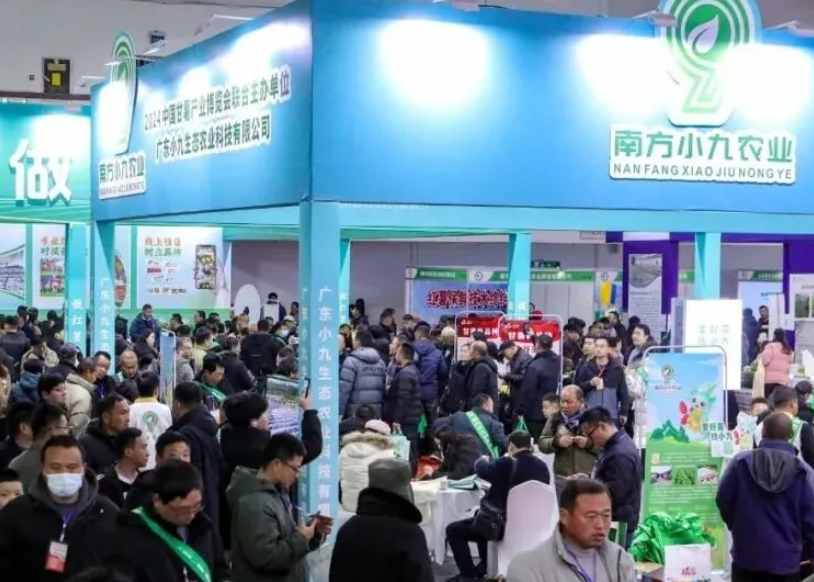 2026��29����ֽ��ɽ�������ʣ�������ֽ��������Ʒչ����