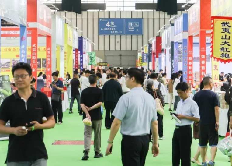 2026���Ϻ����ʱ�����Լ���ϴ�Ӽ�չ����