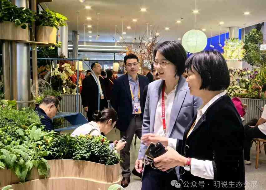 2026ȫ����������������ڹ�����������ҵ��̬������-������չ