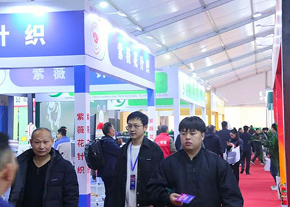 ��Ͷ��2026��21�죨֣�ݣ�������������չ