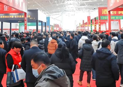 2026�궫Ӫ�׽������