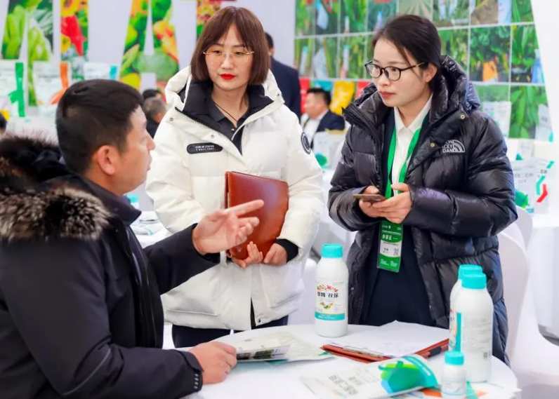 2026�й������鱦����չ����