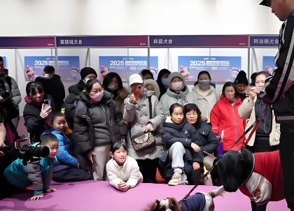 2026��ھŽ��й��������˳��ﲩ����