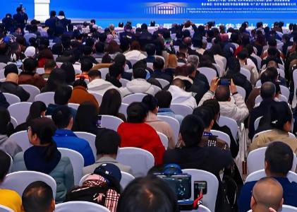 2026���������ʹ���