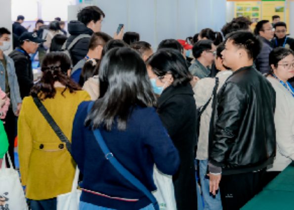 2026����ʮһ���й�����Ϳ��չ�����洦��չ