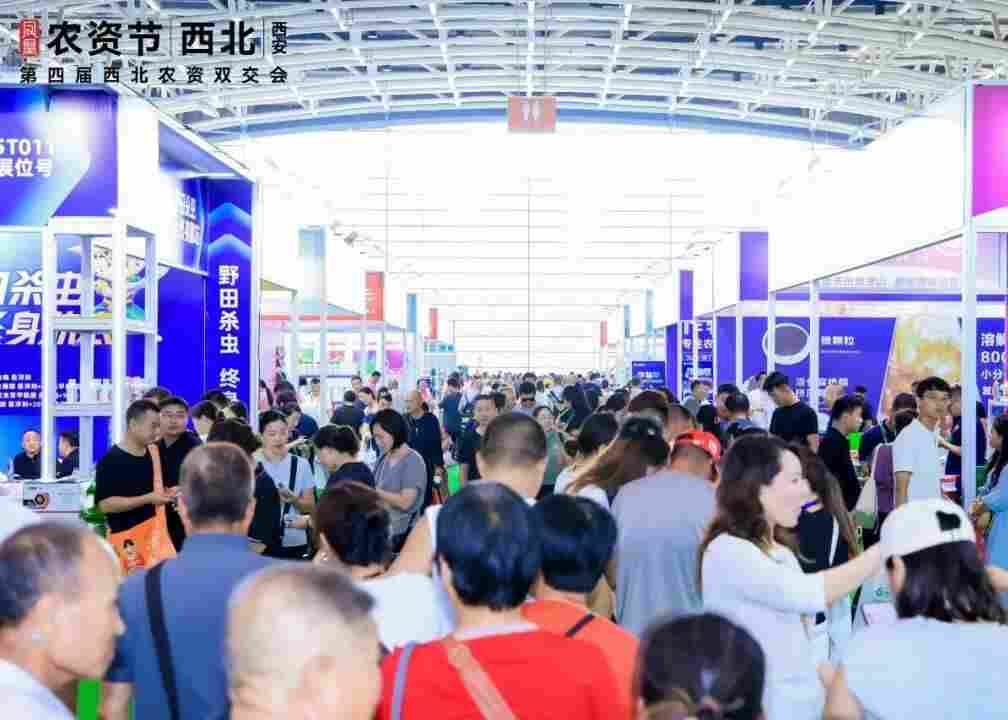 2026��56��ȫ���ķ��ı������������15��ȫ����Сѧ���黭��Ʒ��